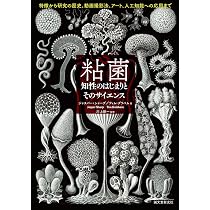粘菌 知性のはじまりとそのサイエンス: 特徴から研究の歴史、動画撮影